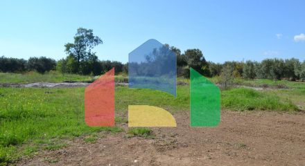 For Sale - Land 1100 m² in Chalkidiki