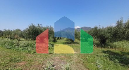 Продажа - Коттедж 630 m² в Халкидиках Продажа - Коттедж 630 m² в Халкидиках