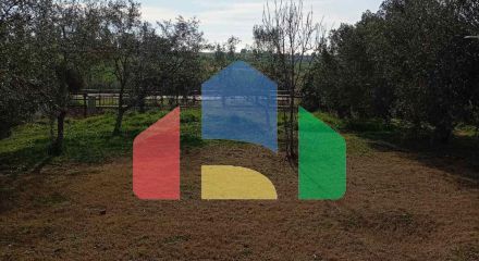 Продажа - Коттедж 110 m² в Халкидиках