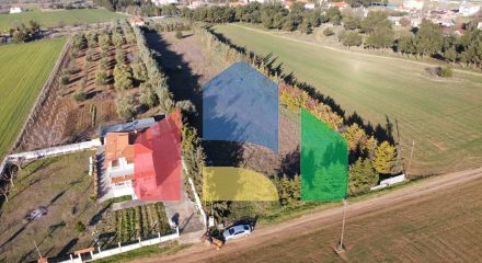 For Sale - Land 7600 m² in Chalkidiki