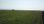 For Sale - Land 8150 m² in Chalkidiki