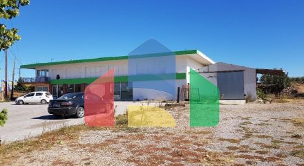 For Sale - Business 350 m² in Chalkidiki