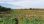 For Sale - Land 10000 m² in Chalkidiki