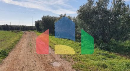 For Sale - Land 10000 m² in Chalkidiki