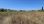 For Sale - Land 7000 m² in Chalkidiki