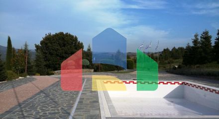 Продаж - Бізнес 600 m² в Халкидіках Продаж - Бізнес 600 m² в Халкидіках