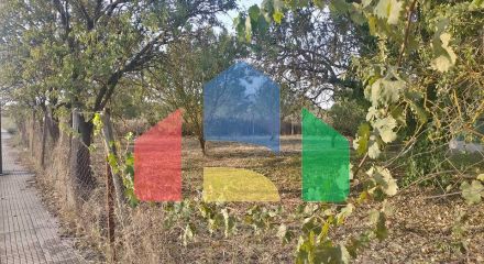 For Sale - Land 350 m² in Chalkidiki