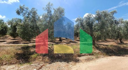 Продажа - Земельный участок 18000 m² в Халкидиках