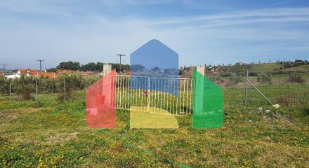 For Sale - Land 1250 m² in Chalkidiki