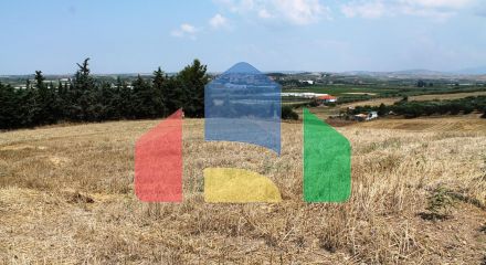Продаж - Земельна ділянка 7000 m² в Халкидіках