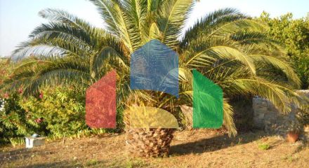 Продажа - Коттедж 100 m² в центральной Греции Продажа - Коттедж 100 m² в центральной Греции