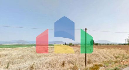 For Sale - Land 6000 m² in central Greece
