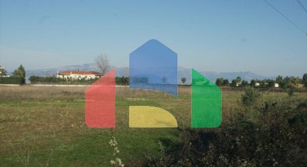 For Sale - Land 30000 m² in central Greece