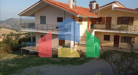 For Sale - Business 350 m² in central Greece