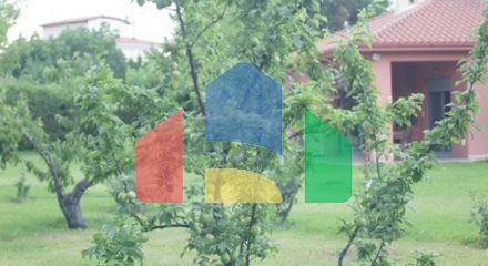 Продаж - Котедж 170 m² в центральній Греції
