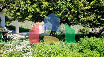 Продаж - Вілла 250 m² в центральній Греції