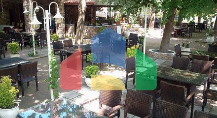 For Sale - Business 700 m² in central Greece
