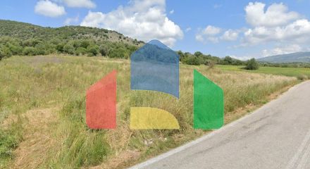 For Sale - Land 7200 m² in central Greece
