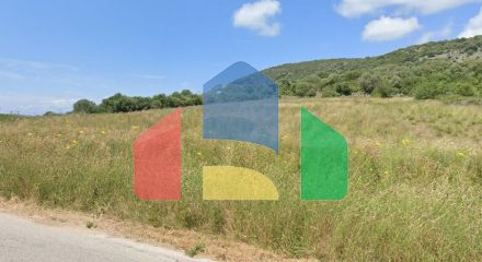For Sale - Land 7200 m² in central Greece