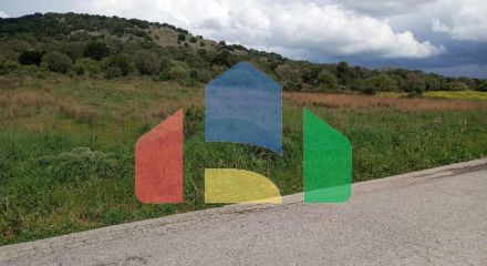 For Sale - Land 7200 m² in central Greece