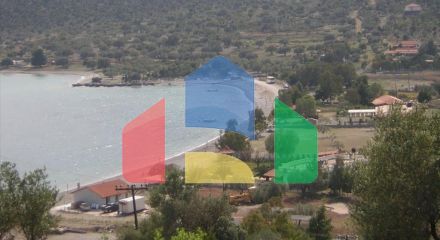 For Sale - Land 22000 m² in central Greece