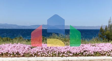 Продажа - Коттедж 400 m² в центральной Греции