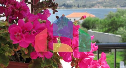 Продажа - Вилла 595 m² в центральной Греции Продажа - Вилла 595 m² в центральной Греции