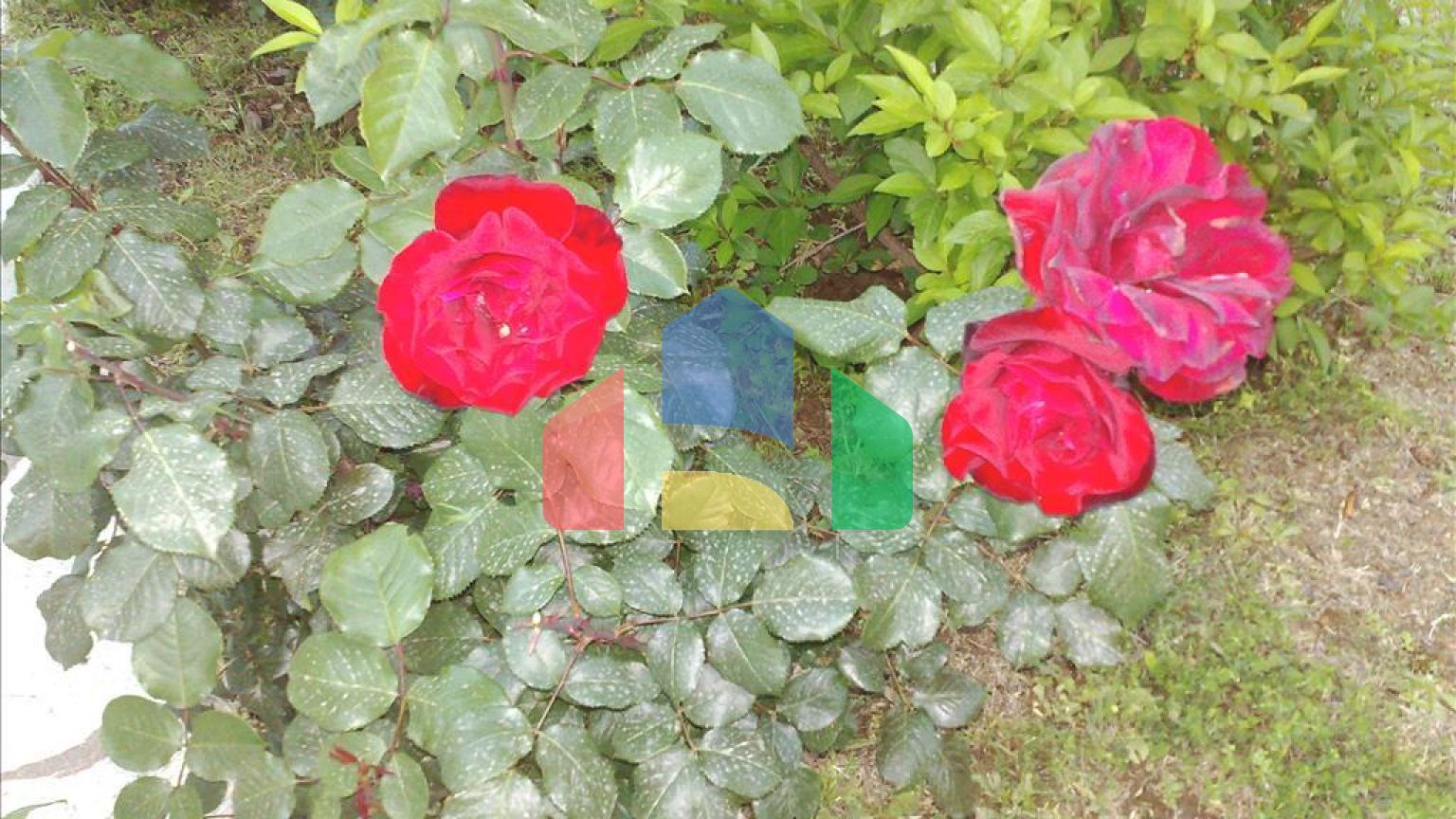 Продажа - Вилла 200 m² в Волосе-Пилио