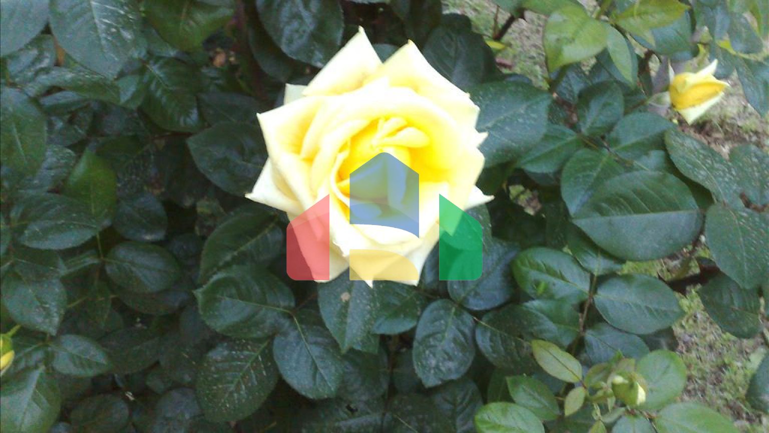 Продажа - Вилла 200 m² в Волосе-Пилио