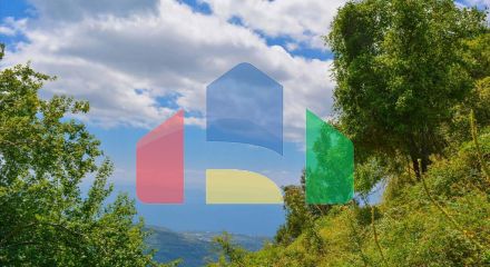 Продажа - Земельный участок 43000 m² в Волосе-Пилио