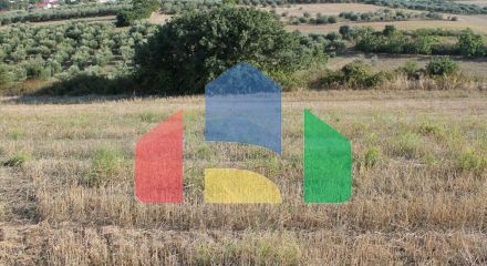 Продаж - Земельна ділянка 2964 m² в Волосі-Піліо