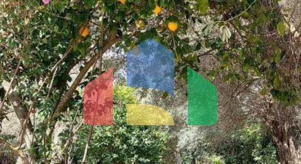 Продажа - Коттедж 56 m² в Волосе-Пилио