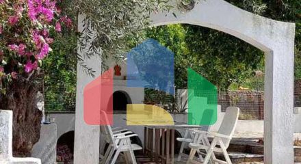 Продажа - Коттедж 56 m² в Волосе-Пилио