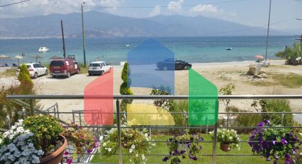 Продажа - Вилла 300 m² в Волосе-Пилио Продажа - Вилла 300 m² в Волосе-Пилио