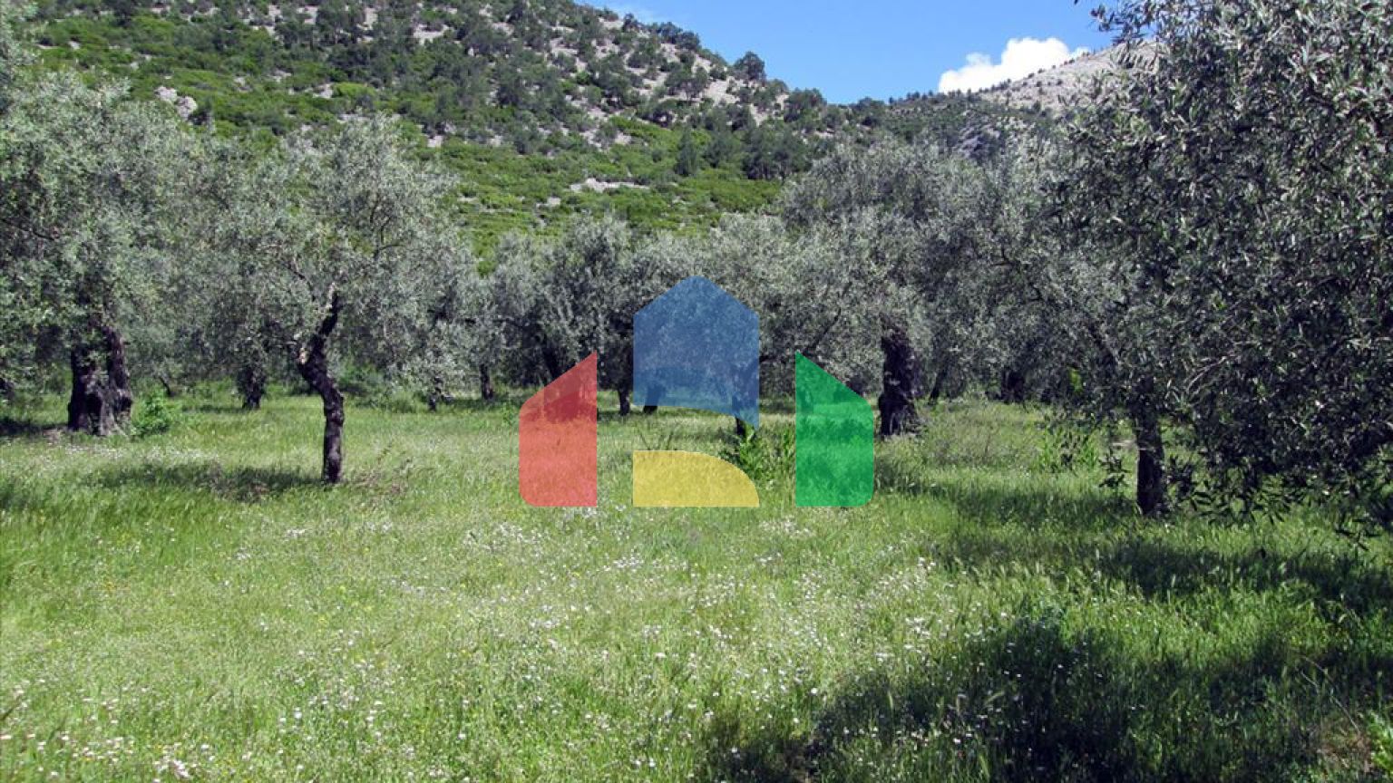 Продаж - Земельна ділянка 2720 m² на Тасосі