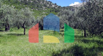 Продаж - Земельна ділянка 2720 m² на Тасосі