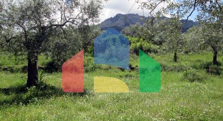 Продаж - Земельна ділянка 2720 m² на Тасосі