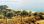 For Sale - Land 1080 m² on the island of Thassos