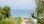 For Sale - Land 1000 m² on the island of Thassos