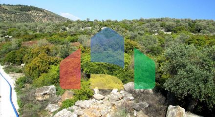 For Sale - Land 9200 m² on the island of Thassos