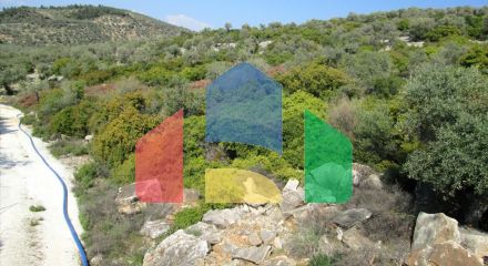 For Sale - Land 9200 m² on the island of Thassos