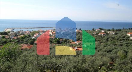 For Sale - Land 9200 m² on the island of Thassos