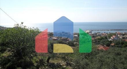 For Sale - Land 9200 m² on the island of Thassos