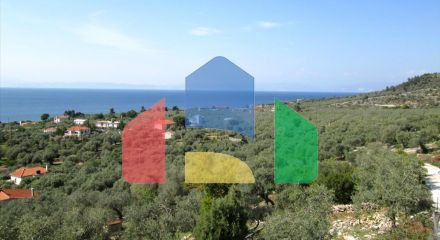 For Sale - Land 9200 m² on the island of Thassos