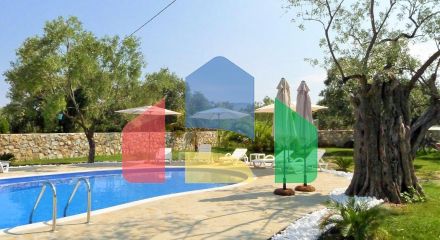 Продажа - Бизнес 410 m² на Тасосе Продажа - Бизнес 410 m² на Тасосе