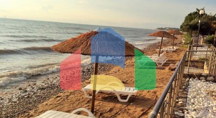 Продажа - Бизнес 410 m² на Тасосе Продажа - Бизнес 410 m² на Тасосе