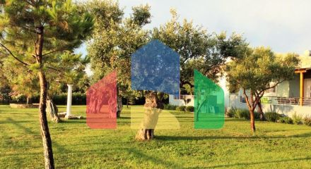 Продажа - Бизнес 410 m² на Тасосе Продажа - Бизнес 410 m² на Тасосе