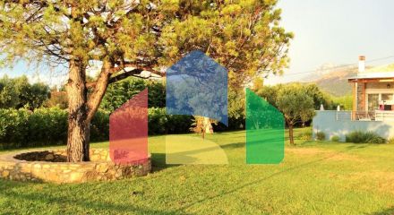 Продажа - Бизнес 410 m² на Тасосе Продажа - Бизнес 410 m² на Тасосе