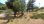 For Sale - Land 1800 m² on the island of Thassos