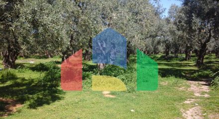 For Sale - Land 10500 m² on the island of Thassos